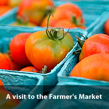 NYC Farmer’s Market
