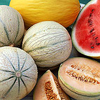 The Skinny on... Melon