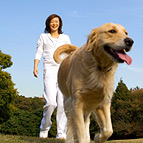 Woman walking dog